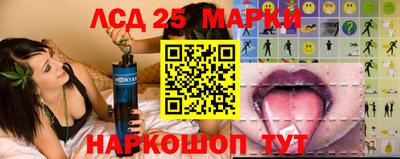 стафф Новодвинск