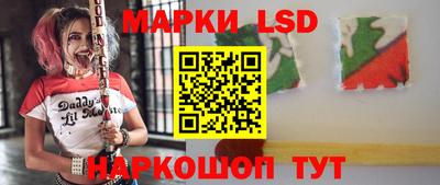 стафф Новодвинск