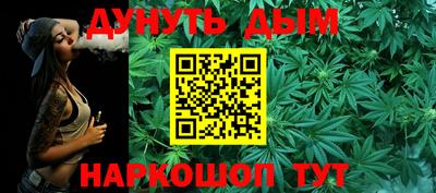 прущие грибы Нальчик