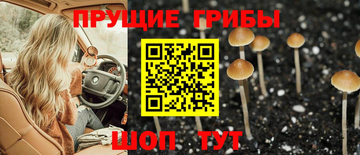Галлюциногенные грибы Cubensis  Вход с VPN  Волгодонск 